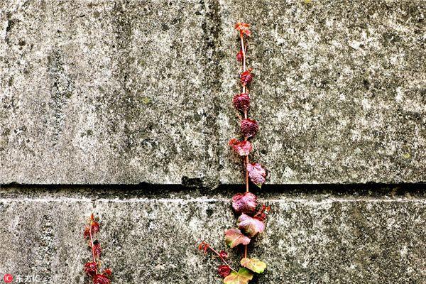 潇湘诗会《诗人阵线》丨任白:诗十首