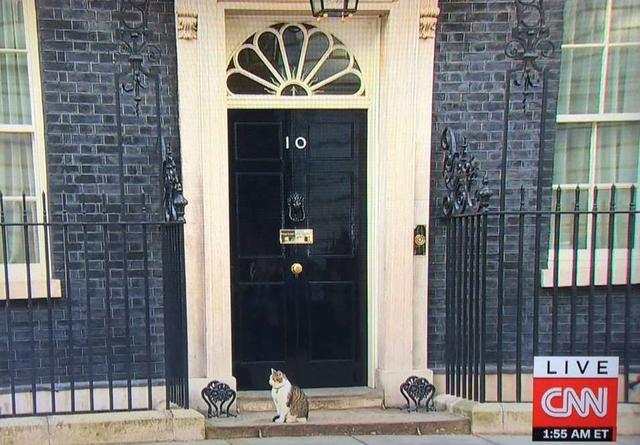 不知道这十大网红,你这些年就白上网了