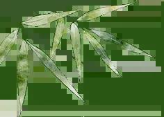 长沙,热榜前十!