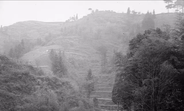 残害无辜的匪首陈通焕，藏匿在牛棚中，因一战士上厕所暴露被诛杀