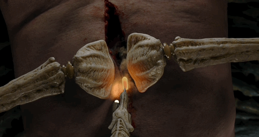 尺度疯狂到颠覆认知!性张力爆满,全程无尿点,还让人生理不适?