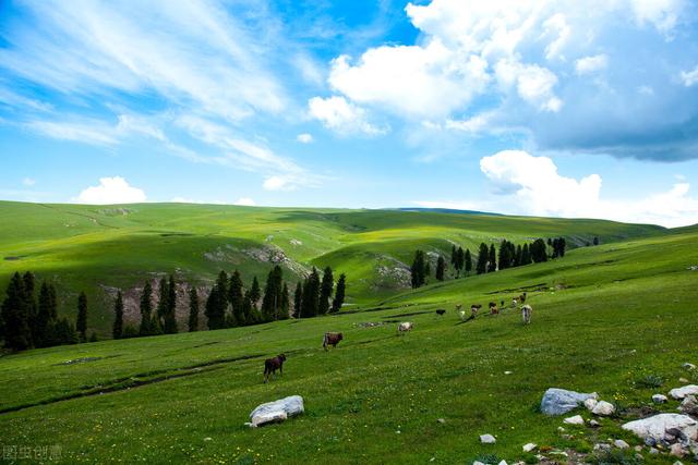 汉字启慧——“身”