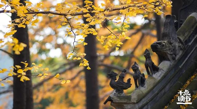 关系再好,也要懂得分寸感