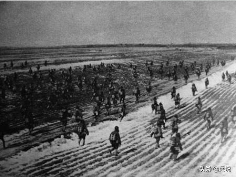 锦州战役，林总要求刺刀见血、冲锋枪点名，辽河会战成豪赌
