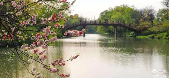 「原创」圈里圈外