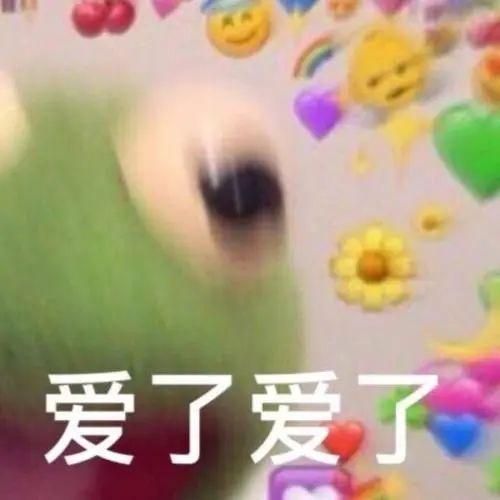 “哥哥好帅我好爱!”谁能想到一起“追星”的他们是骗子……
