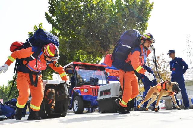 显眼包“二驴”再现赛场!表现如何?