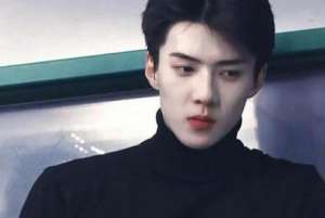 吴世勋身高(吴世勋的粉丝是阚清子,边伯贤的粉丝是白敬亭,而朴灿烈就厉害了)