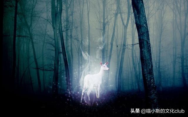 《哈利波特》：有关守护神咒的冷知识！什么情况下守护神会改变？