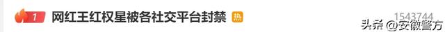 全网封禁!百万粉网红已“查无此人”