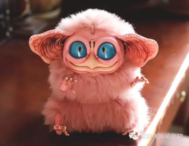 俄罗斯女孩制作的虚构动物玩偶，好逼真！