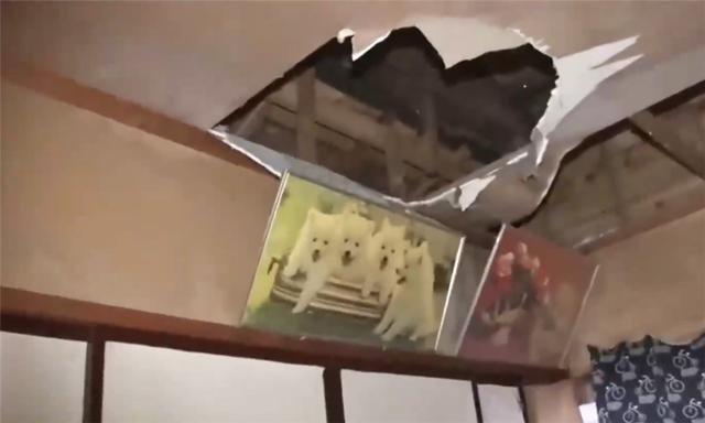 日本83岁老奶奶，独居63㎡废旧的家，过着辛酸又坚强的一生