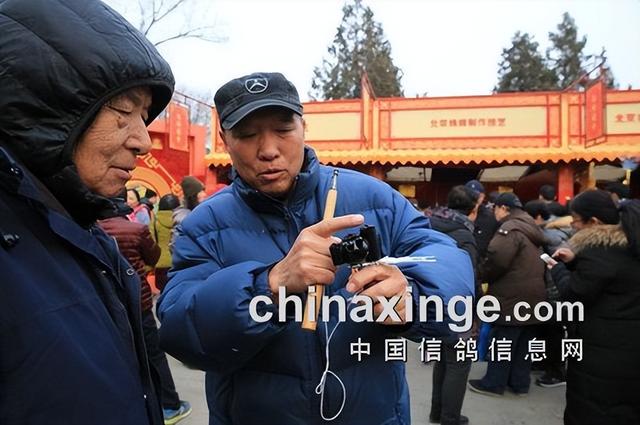 鸽子背上的风情——鸽哨