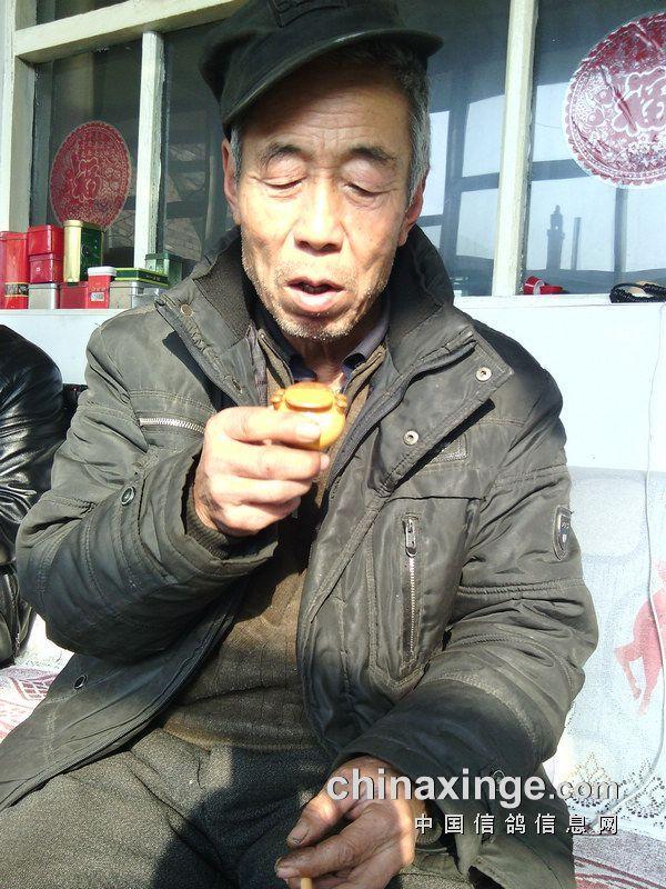 鸽子背上的风情——鸽哨