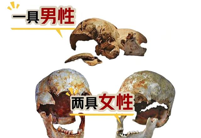 曹操墓被发掘时，现场发现真实的曹操原来是这样的，身高只有156