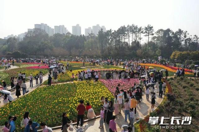 长沙,热榜前十!