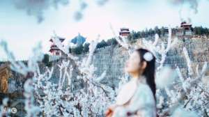 碧妃(故事：冷宫闹鬼，她才不信鬼神之说，先抓回来审一遍再说)