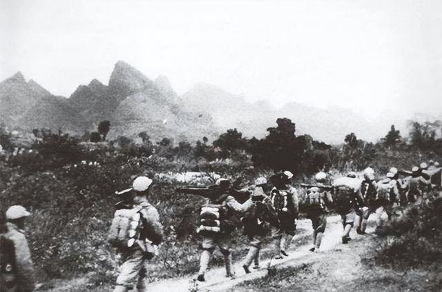 残害无辜的匪首陈通焕，藏匿在牛棚中，因一战士上厕所暴露被诛杀