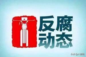 高秀云(周传世、程海滨、高秀云被查，张启良被“双开”叶新平被开除党籍)