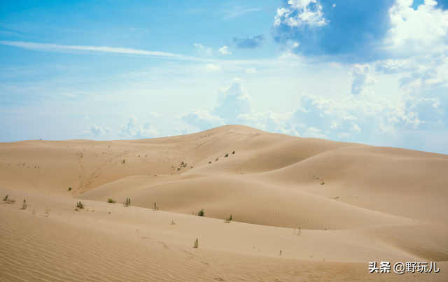 周末特辑:“荒漠求生”揭秘