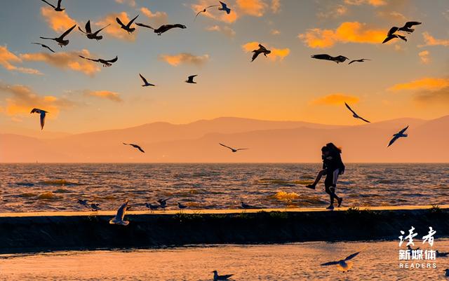 胡歌妻子身份曝光后，一张照片惊艳出圈：婚姻事业双丰收的人永远只有一种