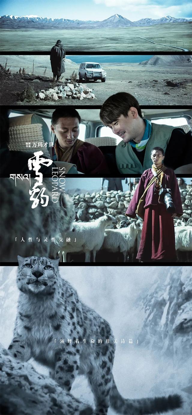 《雪豹》：万玛才旦留给这个世界的锋利和慈悲