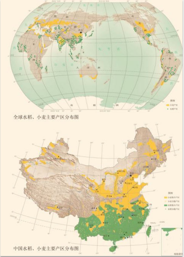我们为什么要吃米面？南北主食从何而来