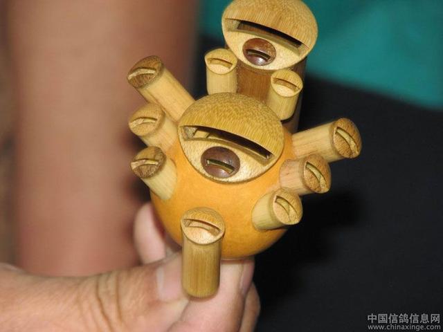 鸽子背上的风情——鸽哨