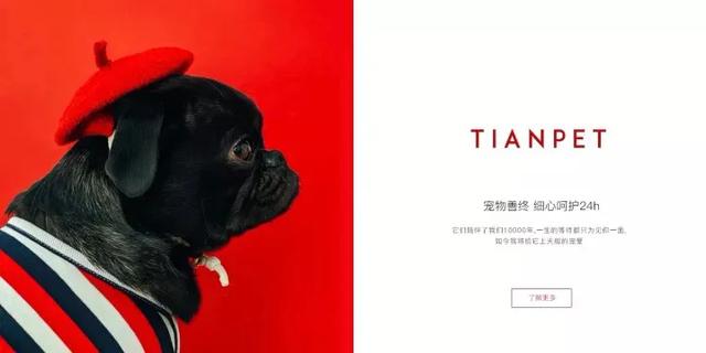TIANPET天宠大投入布局到底”赚钱不赚钱“?