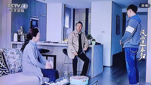 推荐一部反腐倡廉的电视剧《风雨送春归》（三）