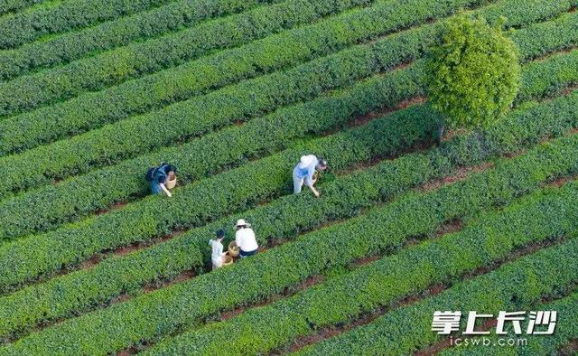 长沙,热榜前十!