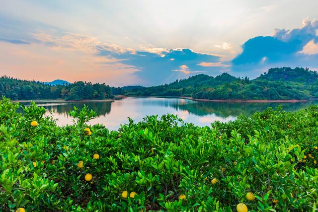 国内首部讲述江南农村七十年变革的大型电视剧《大道地》在常开机