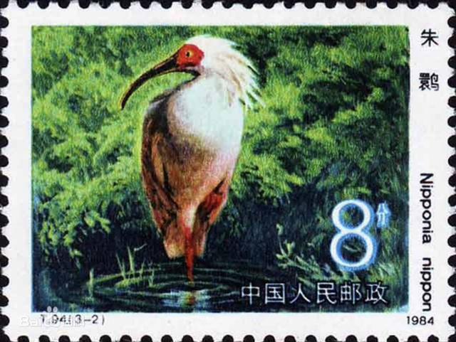 朱鹮这波邮票回忆杀戳到你了吗？