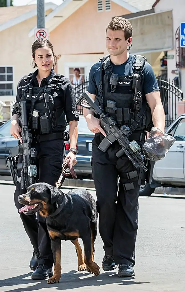 10部好看的高分悬疑美剧，喜欢的马住慢慢刷吧