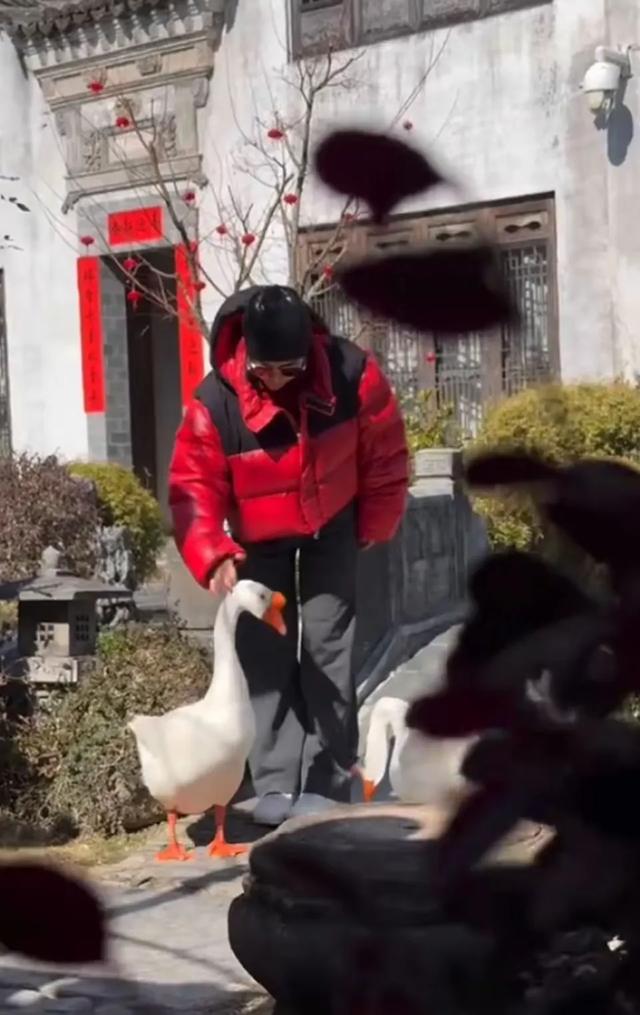 保剑锋一家安徽农村过大年，初二游灯乐融融，妻子何珈好显年轻