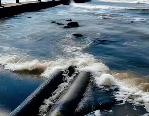 日本又“开闸”了!2025年将7次排核污水,我国取样调查出结果了