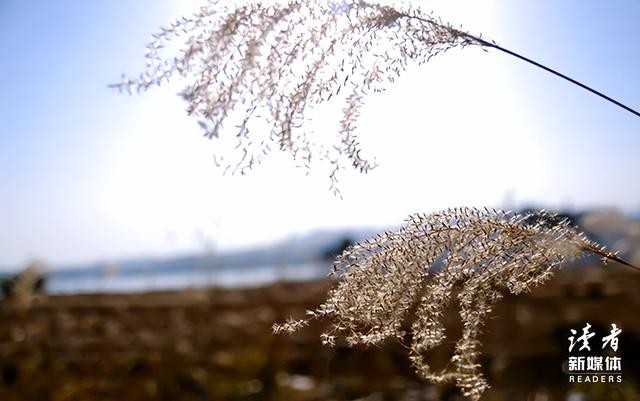 67岁陈道明“白发照”曝光：一个人最大的本事，是不把自己当回事