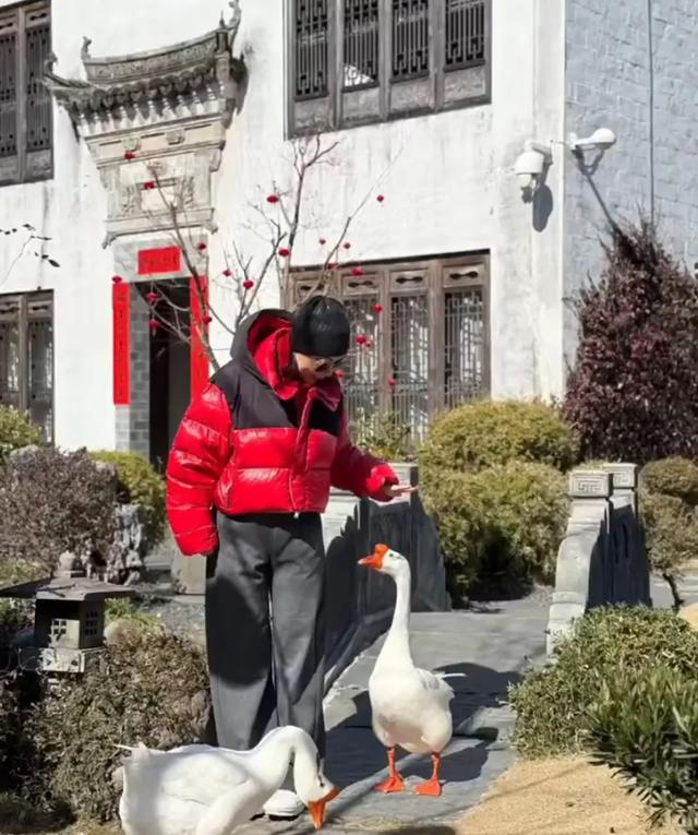 保剑锋一家安徽农村过大年，初二游灯乐融融，妻子何珈好显年轻