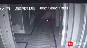 黑夜幽灵(顶着桌布作案，监控拍到饭店里的午夜“幽灵”)