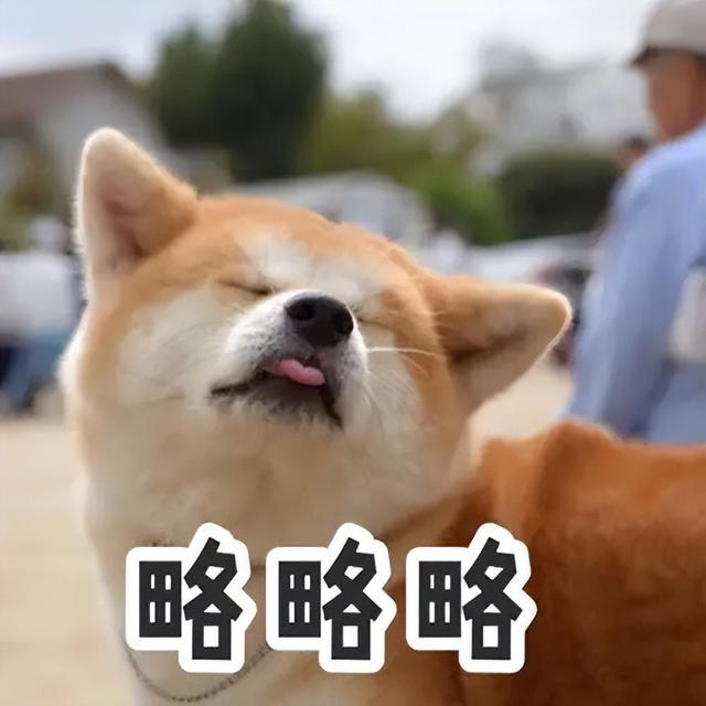 “内有恶犬”?路人好奇一瞧,笑得直不起腰!