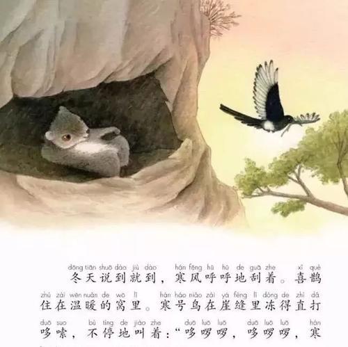 野外见过飞鼠吗？其实我国多达16种，有一种就是寒号鸟，遍布12省