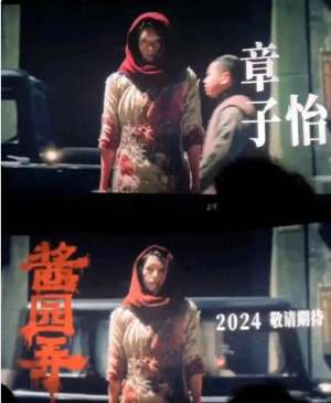 章子怡激情(章子怡大尺度上演“杀夫案”)