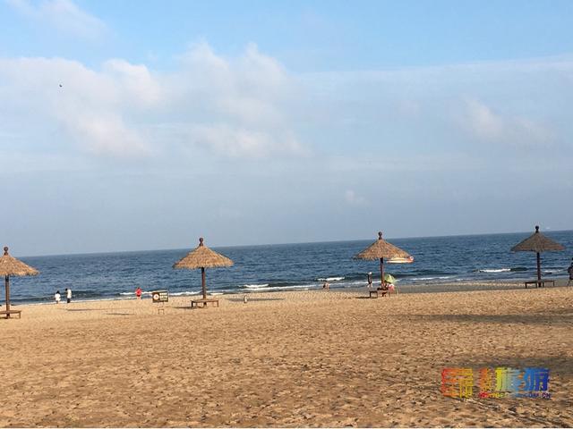 暑期去北戴河看海拾贝喂动物，乐趣满满