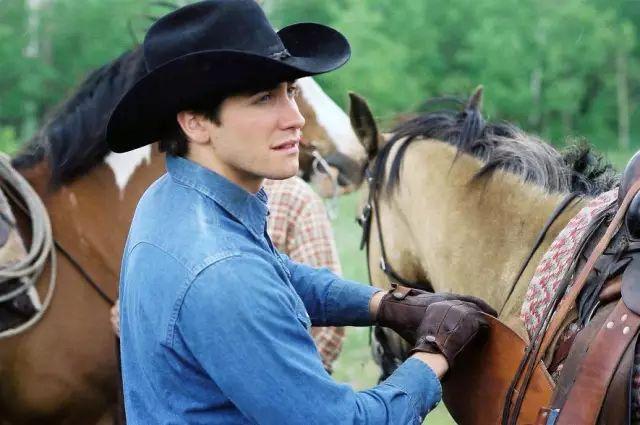 《断背山》讲的不是同性恋,而是爱