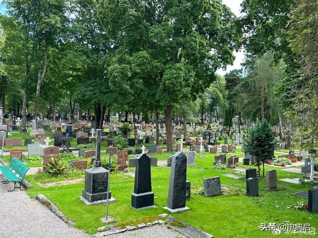 在芬兰常居10年的王姐：芬兰的贫富差距大，但是高信任社会