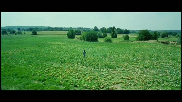 《雏菊》：这部初恋电影！看看有没有你年少时的影子