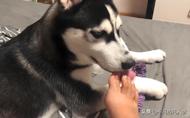 论备胎的自我修养，懂这10条基本操作才是合格的，别问我怎么知道