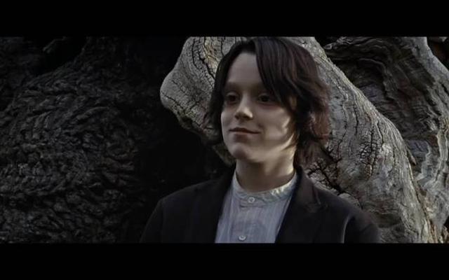 《哈利波特》里混血王子斯内普，到底是好人还是坏人