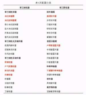 广谱抗菌素(临床常用抗厌氧菌药物汇总(收藏))