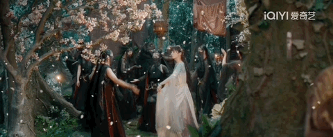 我真的后悔看《苍兰诀》了